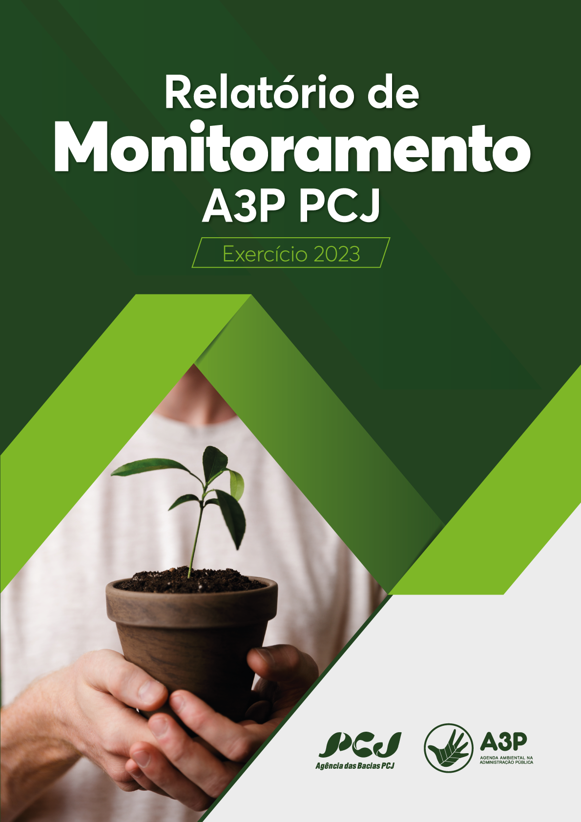 CAPA_RELATÓRIO MONITORAMENTO A3P - 2023