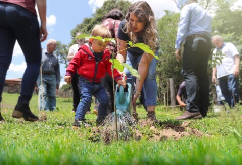 Agência PCJ abre editais para financiar ações de proteção de mananciais e preservação das águas nos municípios