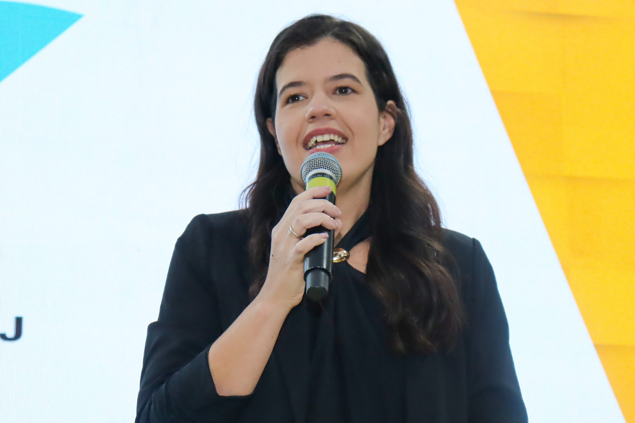 Comitês PCJ aprovam R$ 235 milhões em investimentos federais até 2030 ...