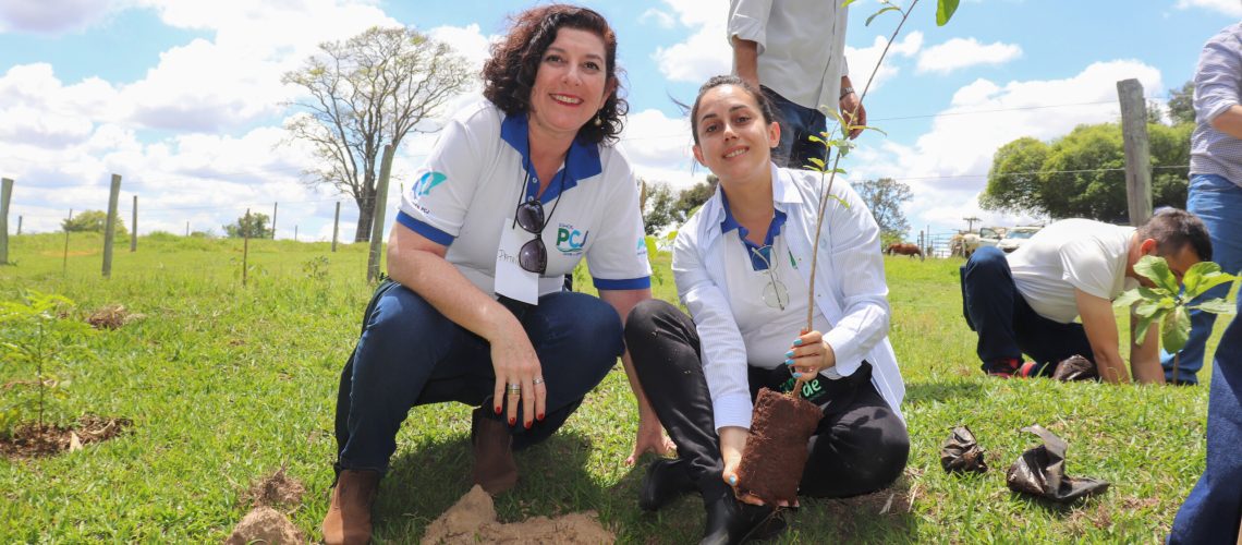 Plantio em Limeira (SP) é também promovido pela Agência das Bacias PCJ